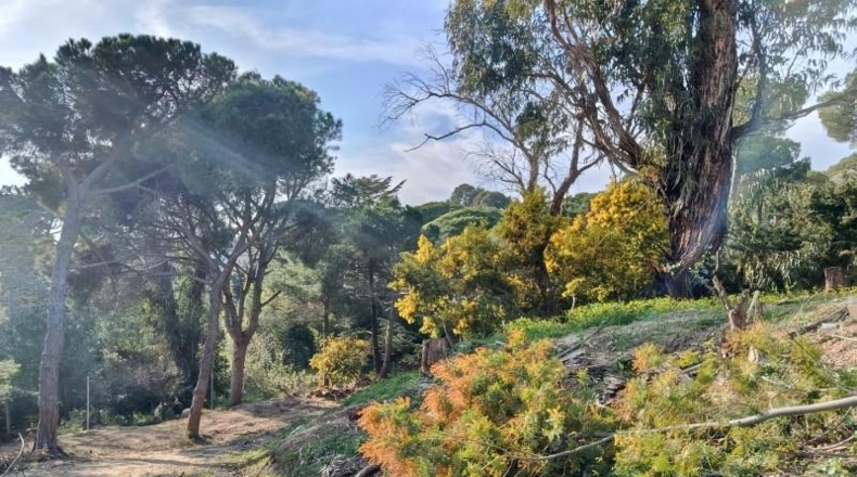 Barcelona - Cabrils - 1001m2