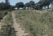 Terreny no urbanitzable en venda a la España, Chiclana de la Frontera, ref.: TR288200 foto