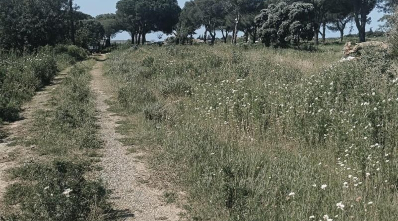 Cádiz - Chiclana de la Frontera - 60359m2