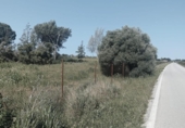 Terreny no urbanitzable en venda a la España, Chiclana de la Frontera, ref.: TR288200 foto