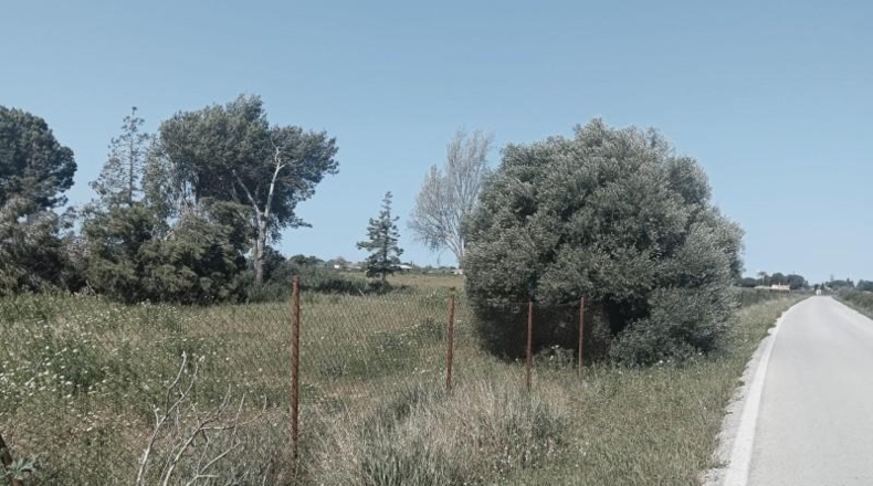 Cádiz - Chiclana de la Frontera - 60359m2