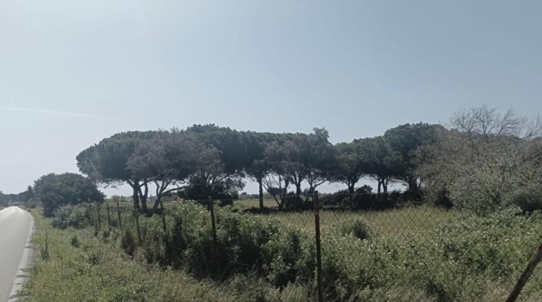 Cádiz - Chiclana de la Frontera - 60359m2