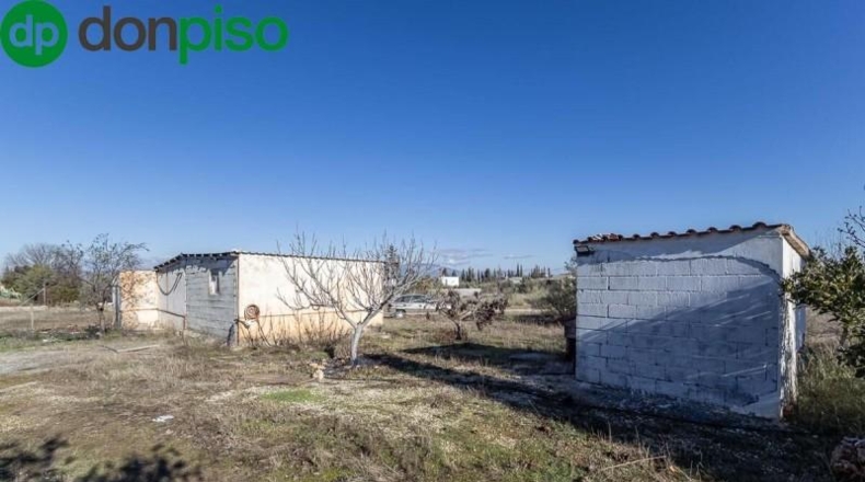 Granada - Moraleda de Zafayona - 4800m2