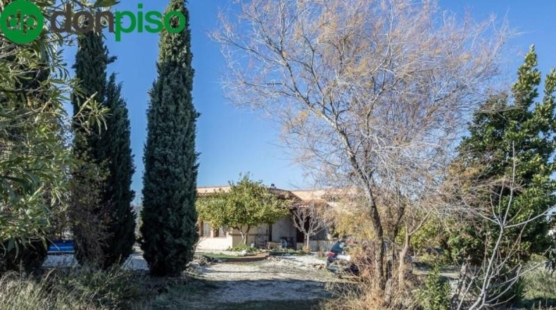 Granada - Moraleda de Zafayona - 4800m2