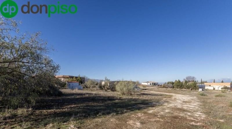Granada - Moraleda de Zafayona - 4800m2