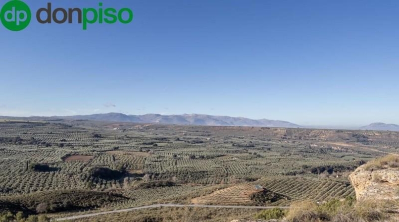Granada - Moraleda de Zafayona - 4800m2