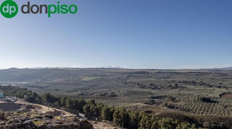 Granada - Moraleda de Zafayona - 4800m2