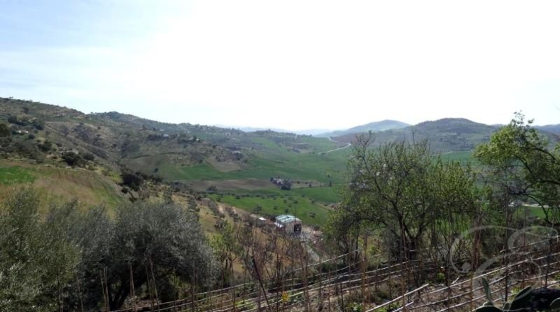 Málaga - Вильянуэва-де-ла-Консепсьон - 10480m2