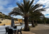Casa de campo con terreno en venta en la España, Aledo, ref: TR373654 foto