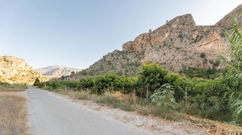 Granada - Vélez de Benaudalla - 8689m2