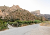 Non-developable land for sale on España, Vélez de Benaudalla, ref: TR238692 photo