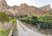 Non-developable land for sale on España, Vélez de Benaudalla, ref: TR238692 photo
