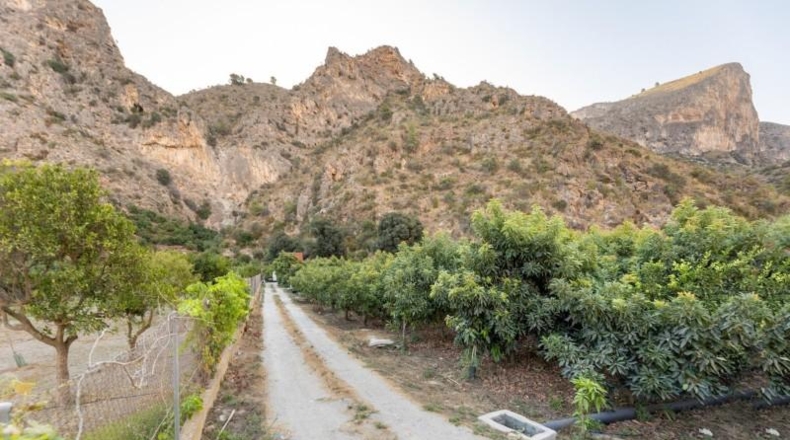 Granada - Vélez de Benaudalla - 8689m2