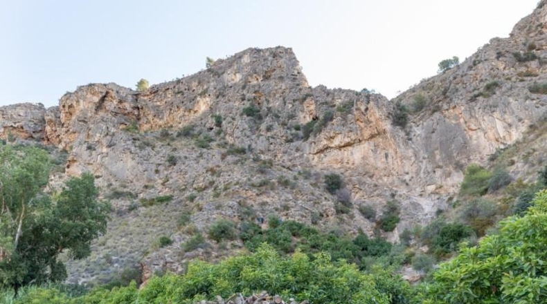 Granada - Vélez de Benaudalla - 8689m2