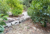 Non-developable land for sale on España, Vélez de Benaudalla, ref: TR238692 photo