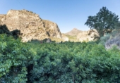 Non-developable land for sale on España, Vélez de Benaudalla, ref: TR238692 photo
