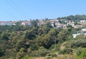 Terreny no urbanitzable en venda a la España, Benidoleig, ref.: TR264918 foto