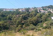 Terreny no urbanitzable en venda a la España, Benidoleig, ref.: TR264918 foto