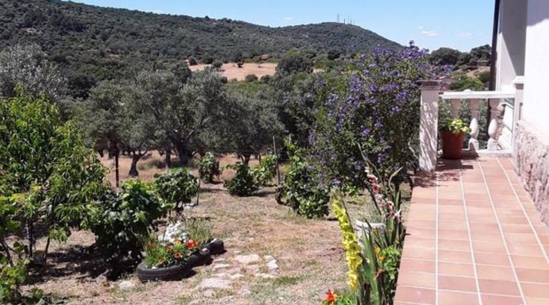 Cáceres - Plasencia - 23000m2