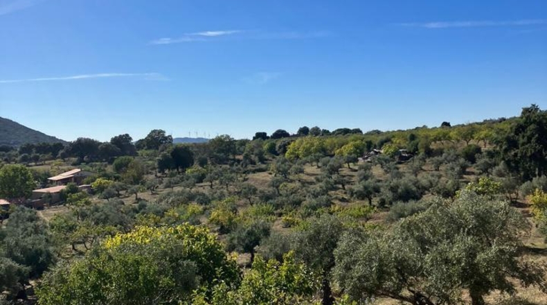 Cáceres - Plasencia - 23000m2