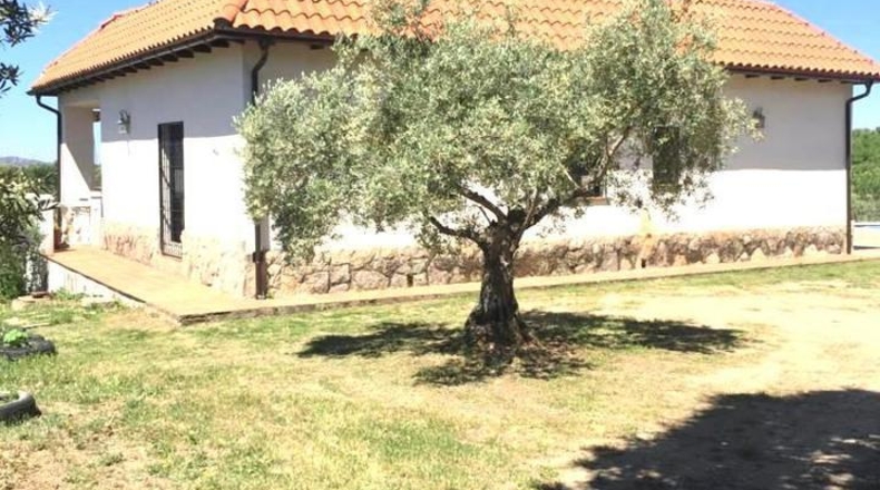 Cáceres - Plasencia - 23000m2
