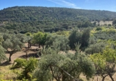 Xalet independent amb terreny en venda a la España, Plasencia, ref.: TR159652 foto