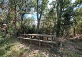 Country house with land for sale on España, Cadrete, ref: TR340474 photo