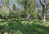 Country house with land for sale on España, Cadrete, ref: TR340474 photo