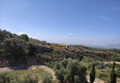 Casa de campo con terreno en venta en la España, Crevillente, ref: TR139569 foto