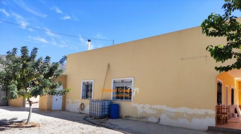 Alicante - Crevillente - 3900m2