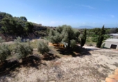 Casa de campo con terreno en venta en la España, Crevillente, ref: TR139569 foto