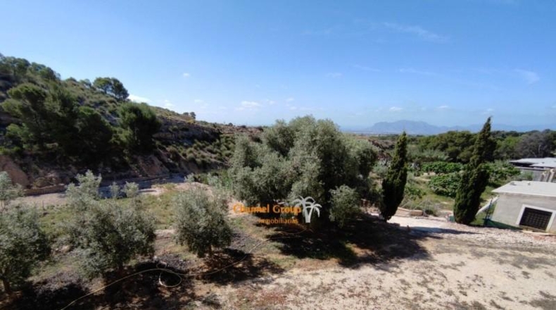 Alicante - Crevillente - 3900m2