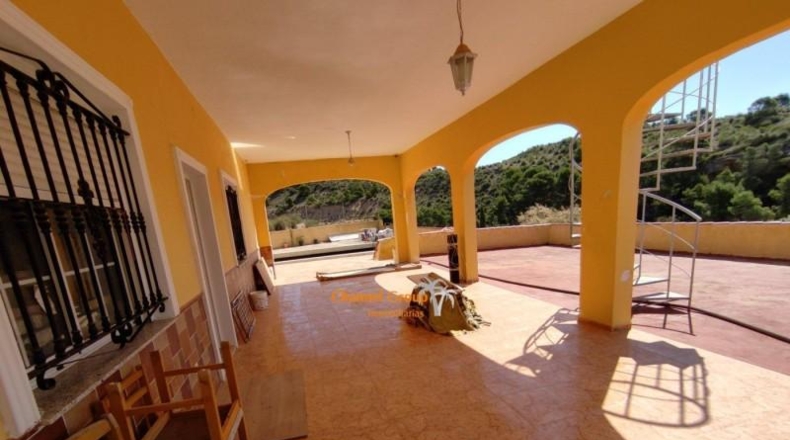 Alicante - Crevillente - 3900m2