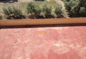 Casa de campo con terreno en venta en la España, Crevillente, ref: TR139569 foto