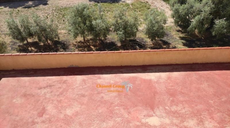 Alicante - Crevillente - 3900m2