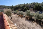 Casa de campo con terreno en venta en la España, Crevillente, ref: TR139569 foto