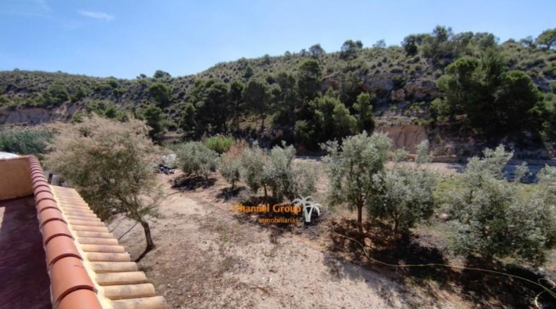 Alicante - Crevillente - 3900m2