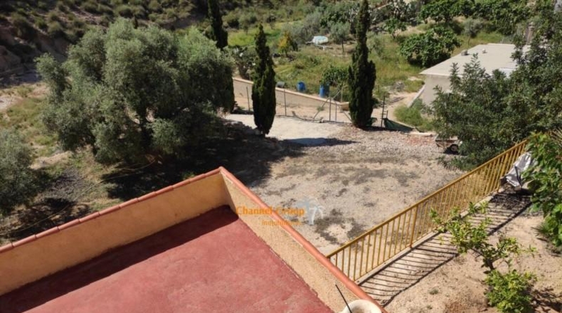 Alicante - Crevillente - 3900m2