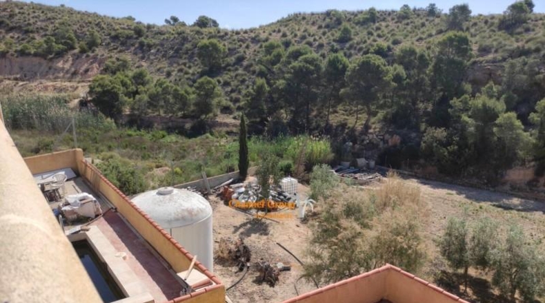 Alicante - Crevillente - 3900m2