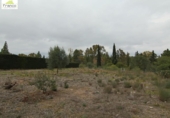 Parcel·la urbanitzable en venda a la España, Molina de Segura, ref.: TR120665 foto