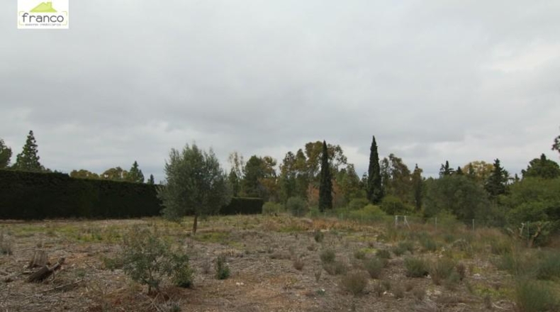 Múrcia - Molina de Segura - 1978m2