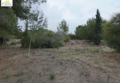 Parcel·la urbanitzable en venda a la España, Molina de Segura, ref.: TR120665 foto