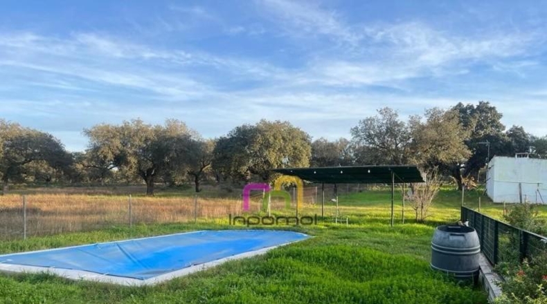 Badajoz - Badajoz - 6600m2