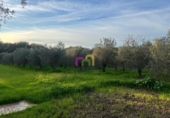 Casa de camp amb terreny en venda a la España, Badajoz, ref.: TR143198 foto