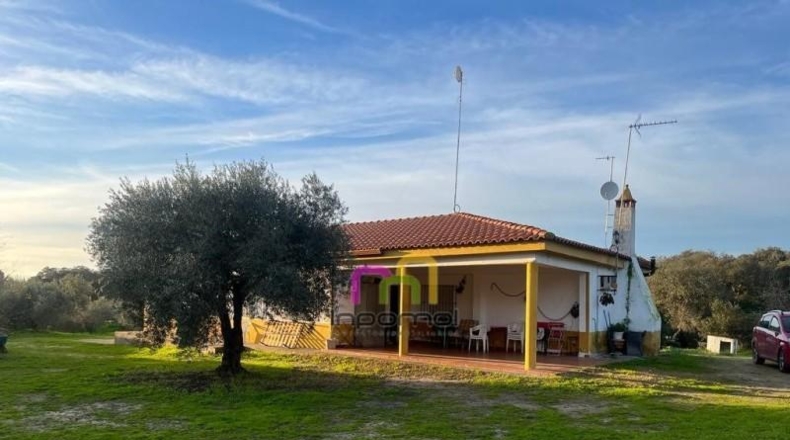 Badajoz - Badajoz - 6600m2