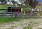 Casa de camp amb terreny en venda a la España, Badajoz, ref.: TR143198 foto