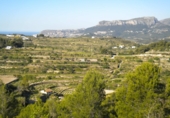 Terreny no urbanitzable en venda a la España, Benissa, ref.: TR112759 foto