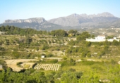 Terreny no urbanitzable en venda a la España, Benissa, ref.: TR112759 foto
