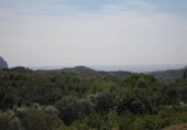 Terreny no urbanitzable en venda a la España, Benissa, ref.: TR113646 foto