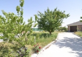 Detached villa with land for sale on España, Calvarrasa de Abajo, ref: TR134692 photo